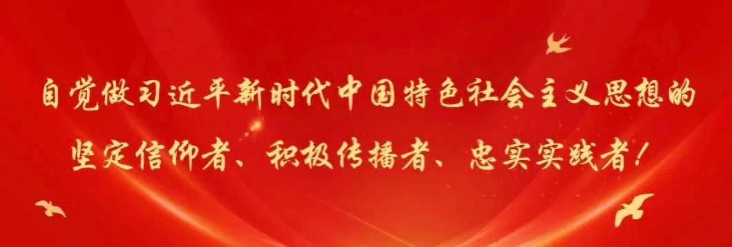 2025年1月1日起施行的全面解析运动员