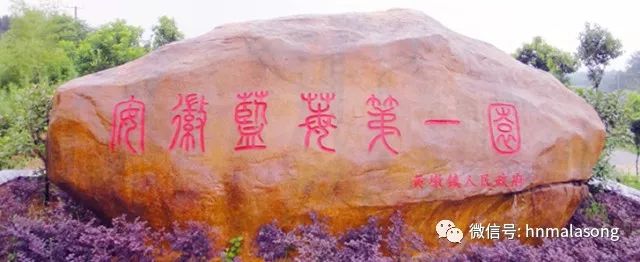 马拉松最美赛道是什么_马拉松最美赛道_马拉松最美赛道是哪个城市的