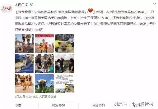 撒哈拉越野马拉松_撒哈拉沙漠马拉松_撒哈拉沙漠极限马拉松