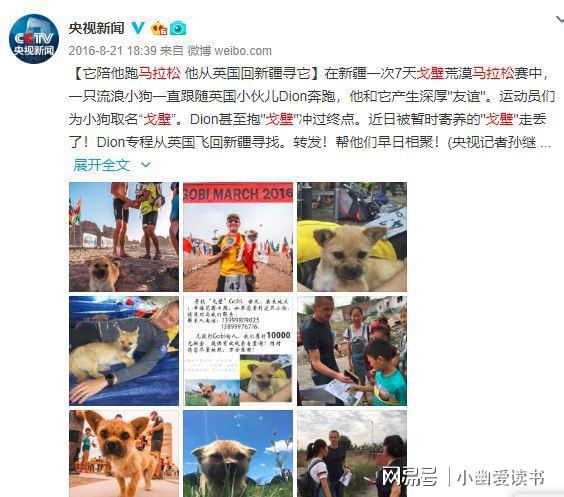撒哈拉沙漠极限马拉松_撒哈拉越野马拉松_撒哈拉沙漠马拉松
