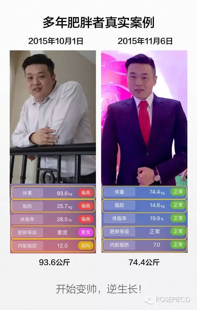 老虎营养价值_老虎营养餐_老虎的营养
