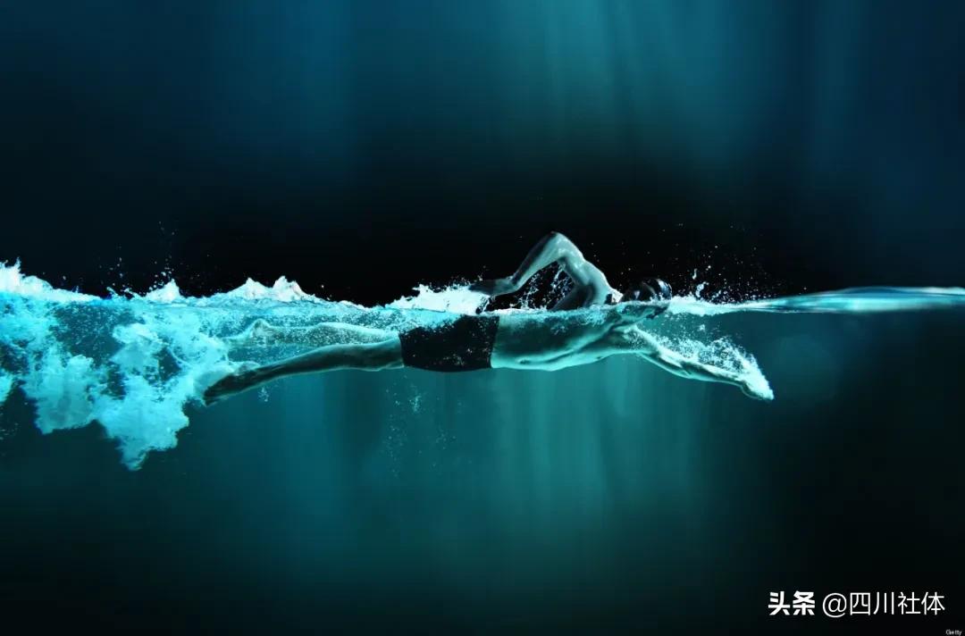 运动排行_运动排行图片_运动榜单