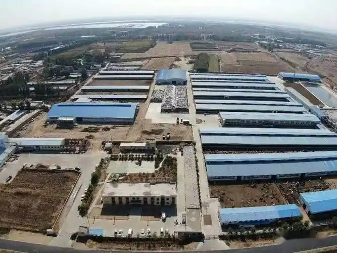 奶牛营养价值_奶牛营养餐_奶牛营养配方讲解
