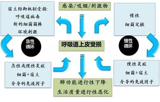 胸腹部矛盾呼吸运动_什么是胸腹矛盾呼吸_胸腹矛盾运动