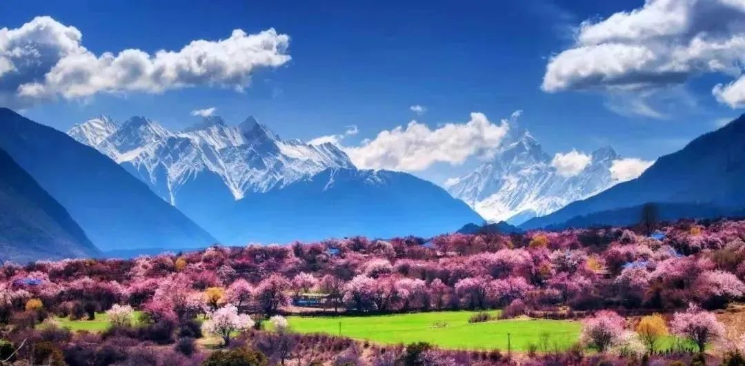 拉萨马拉松_西藏马拉松_拉萨马拉松线路