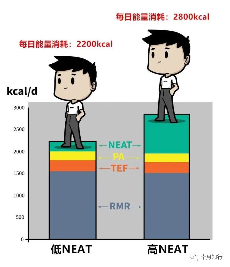 运动燃脂心率计算公式_运动燃脂排行榜_什么运动最燃脂